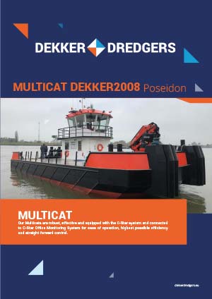 MULTICAT DEKKER2008